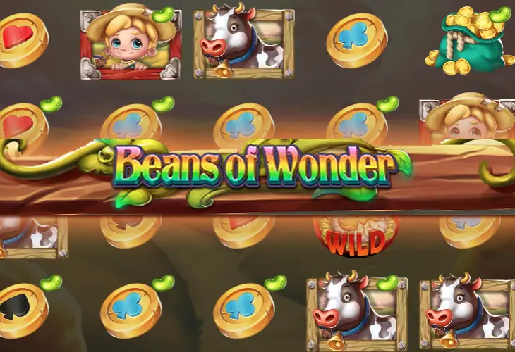 Beans Of Wonder